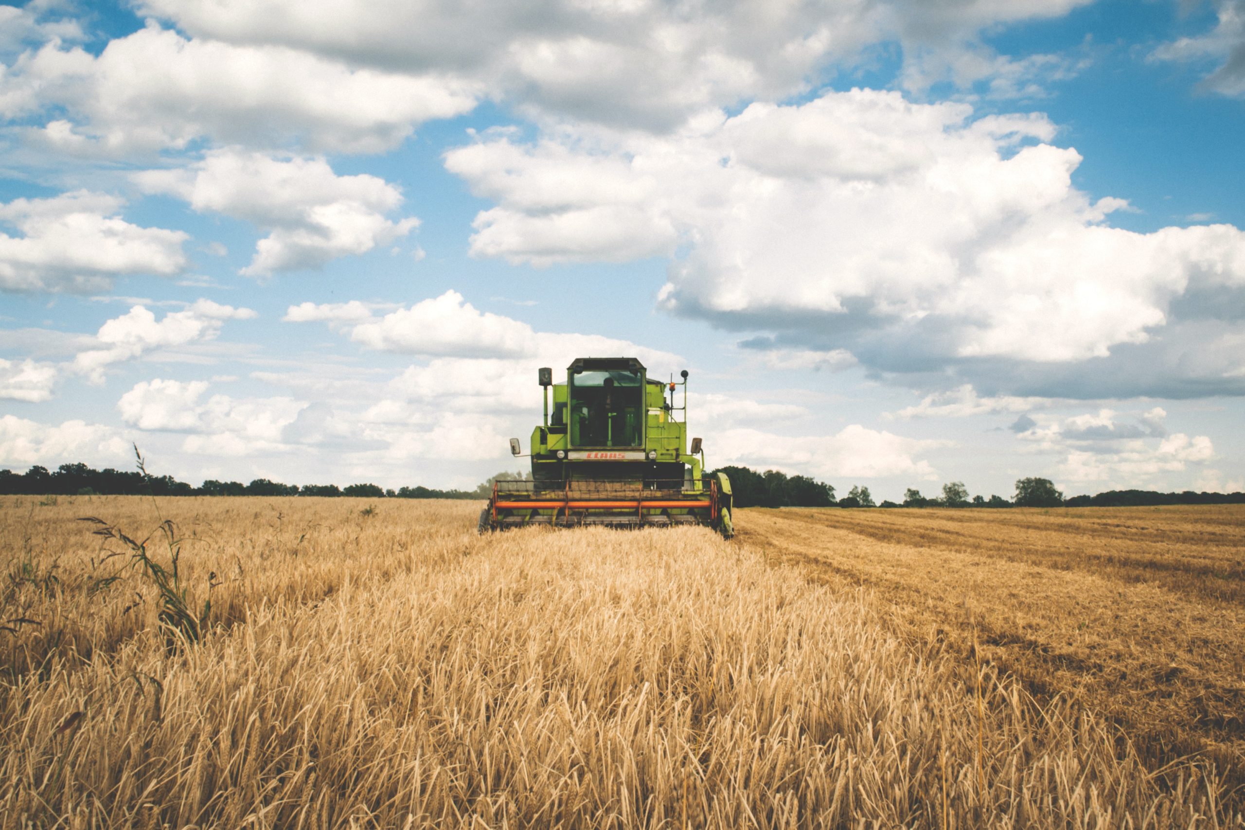 green-tractor-175389 green-tractor-175389